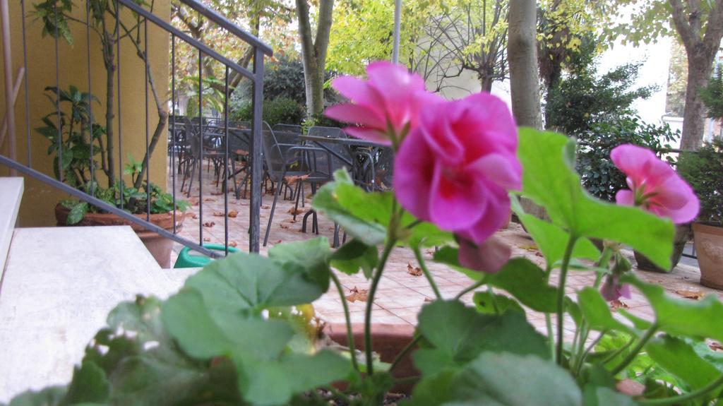 Albergo La Primula Chianciano Terme Bagian luar foto